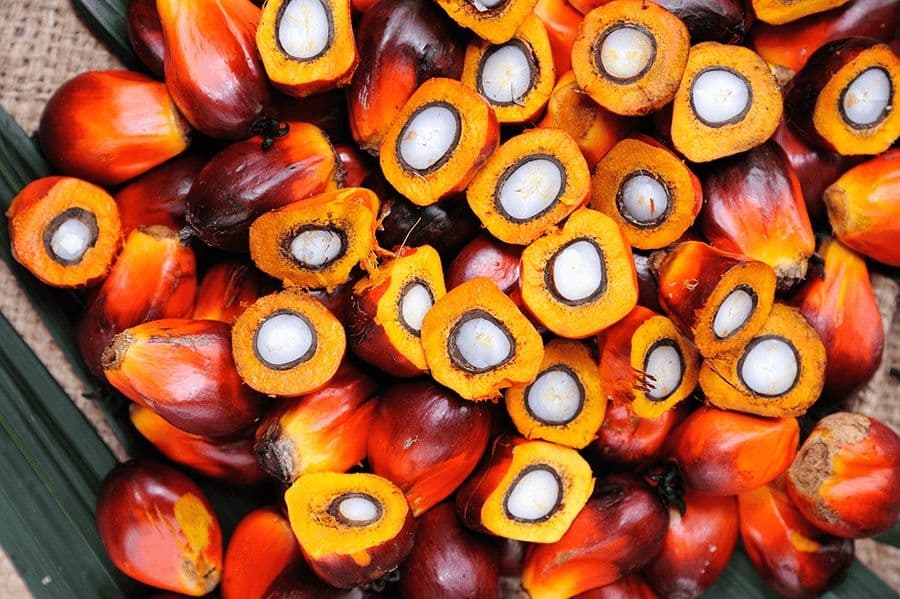 L'olio di palma fa male?
