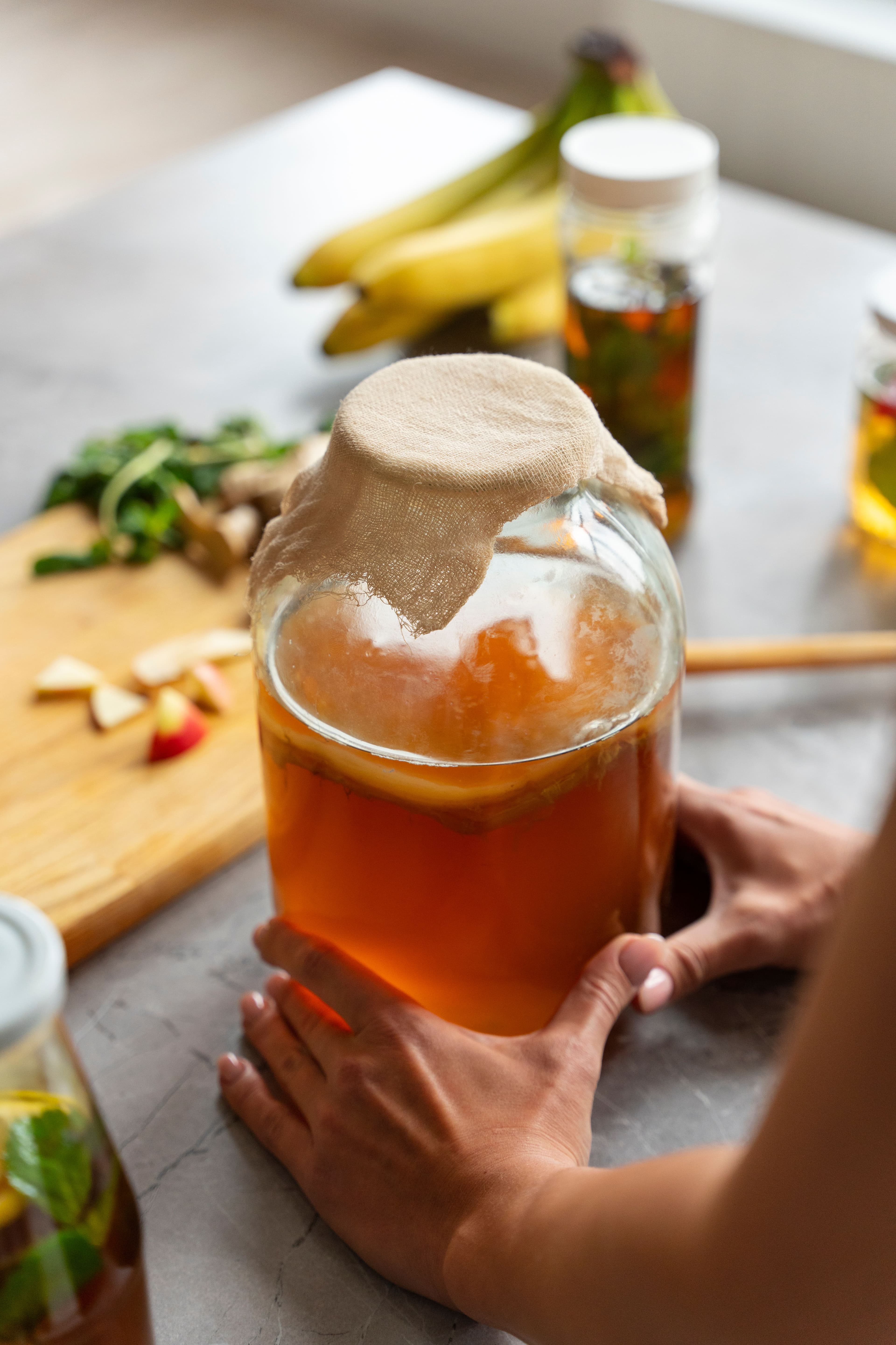 Kombucha in casa