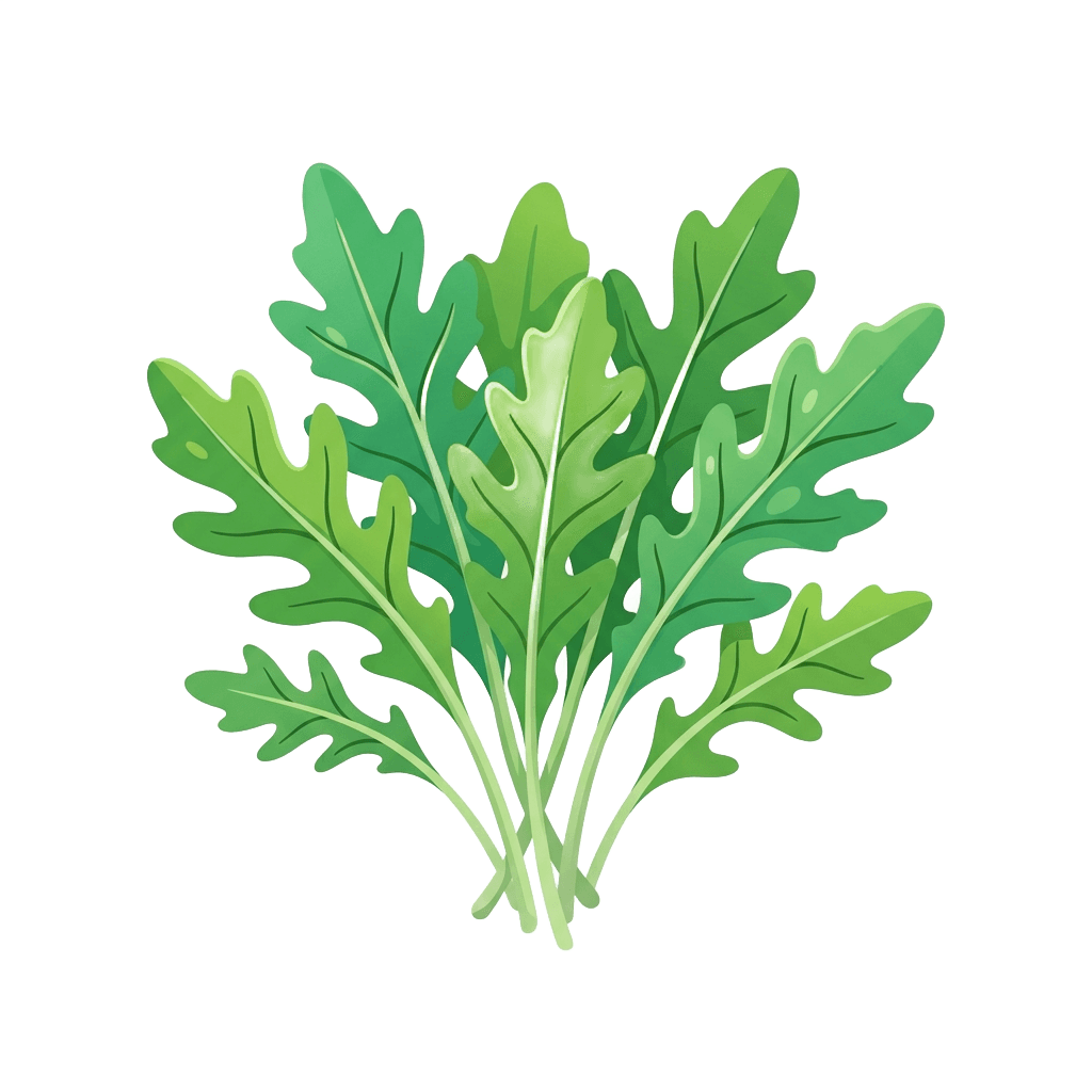 Immagine di Rucola